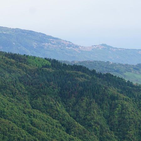 Tranquil Retreat Homestay Ghum Zewnętrze zdjęcie