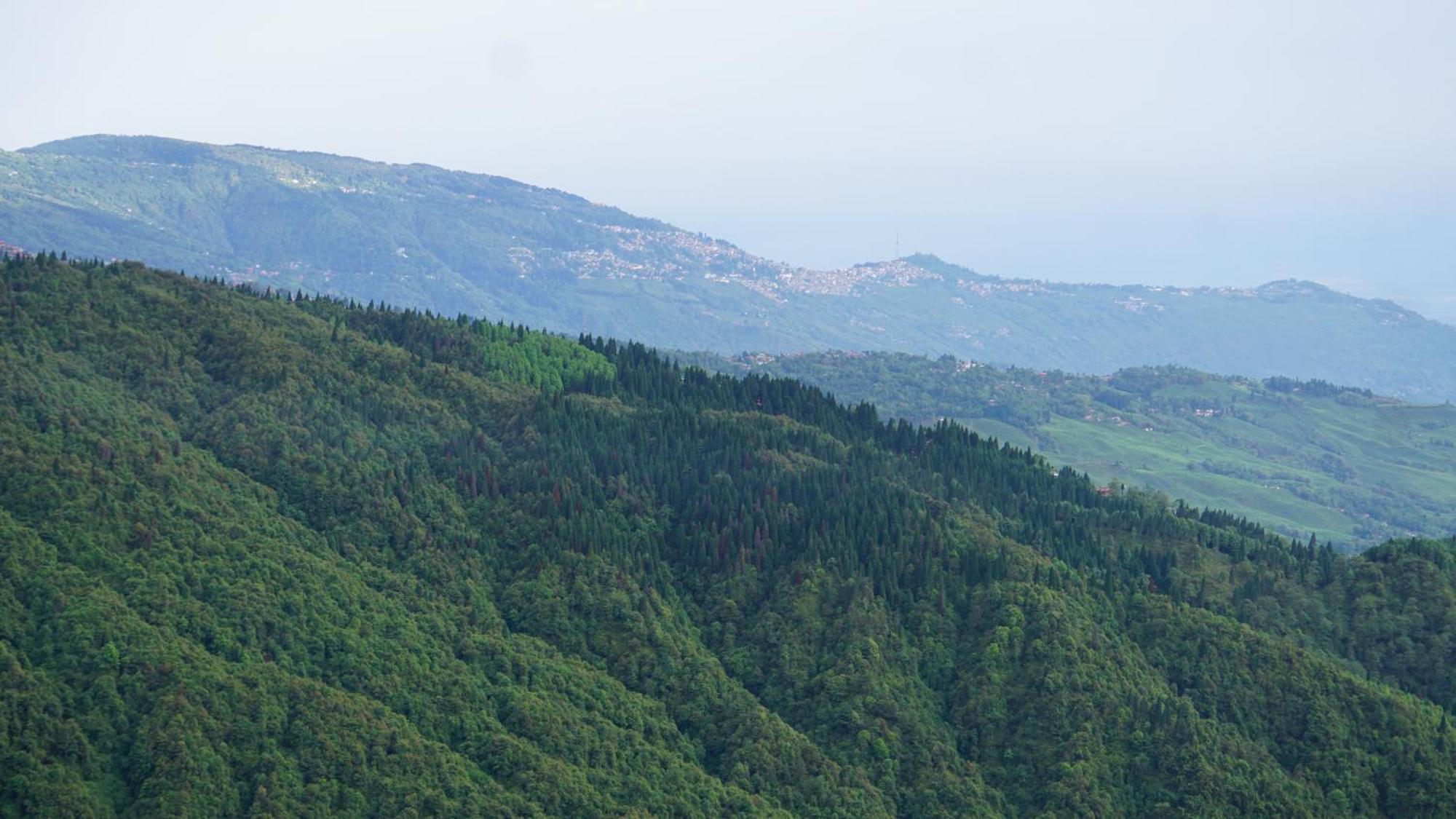 Tranquil Retreat Homestay Ghum Zewnętrze zdjęcie