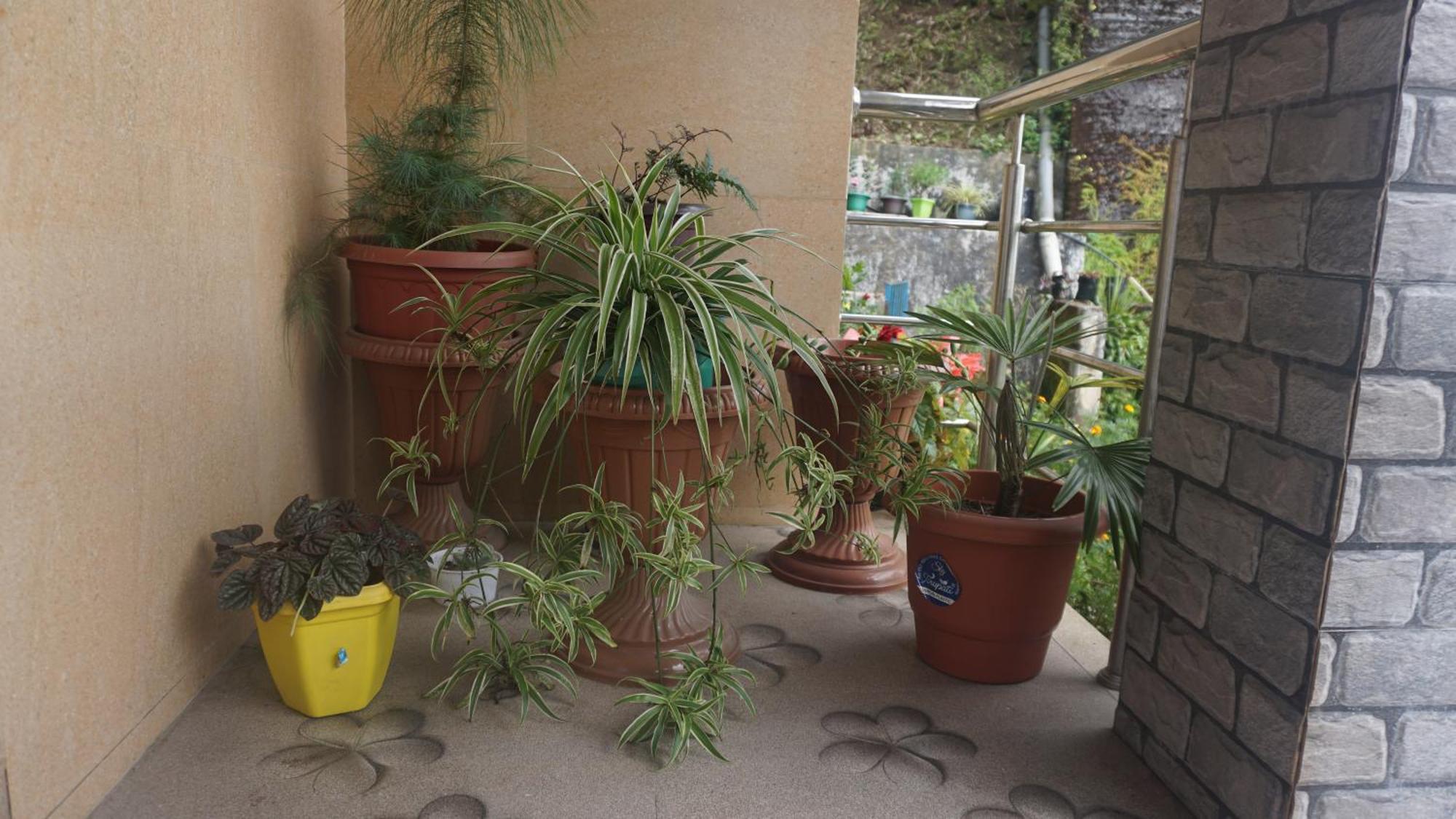 Tranquil Retreat Homestay Ghum Zewnętrze zdjęcie