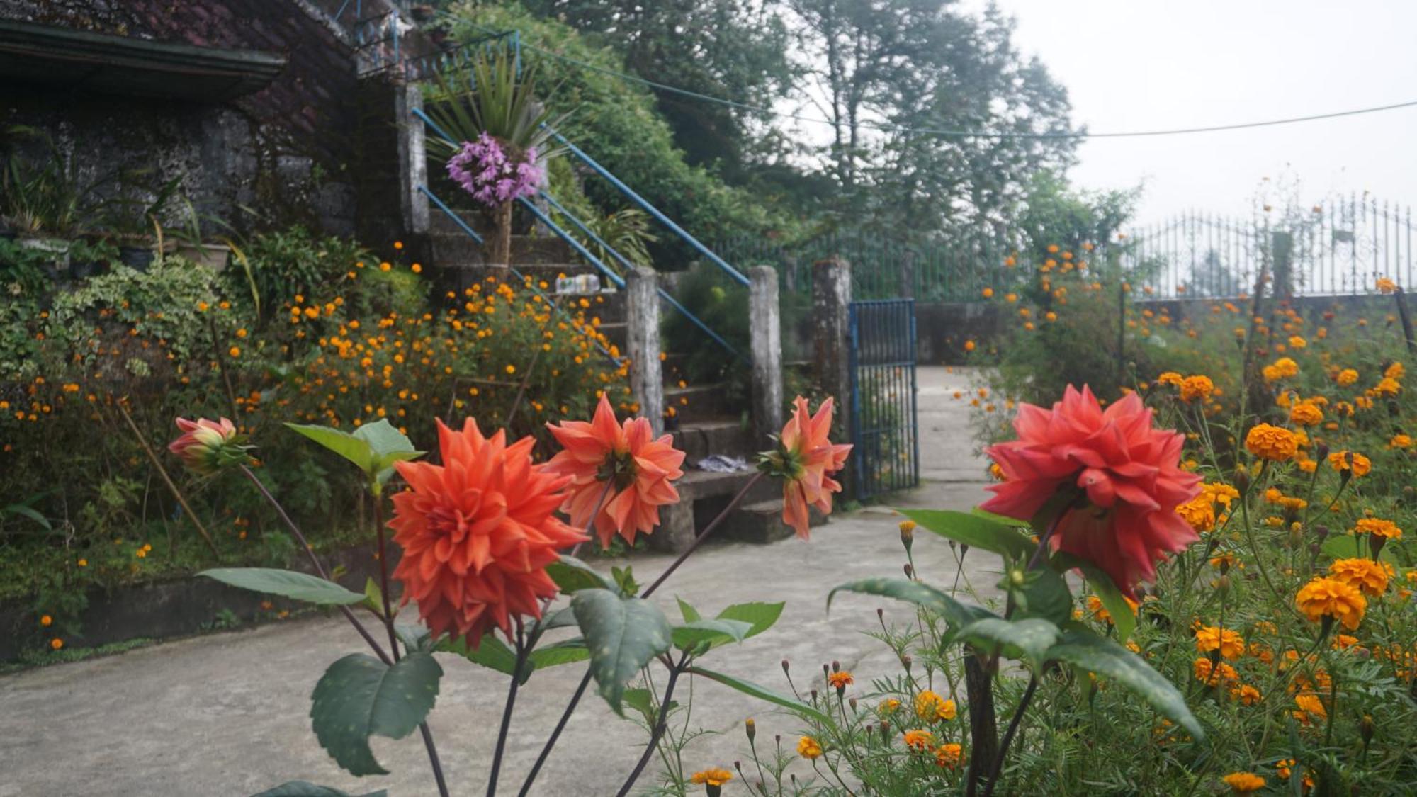 Tranquil Retreat Homestay Ghum Zewnętrze zdjęcie
